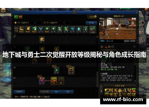 地下城与勇士二次觉醒开放等级揭秘与角色成长指南