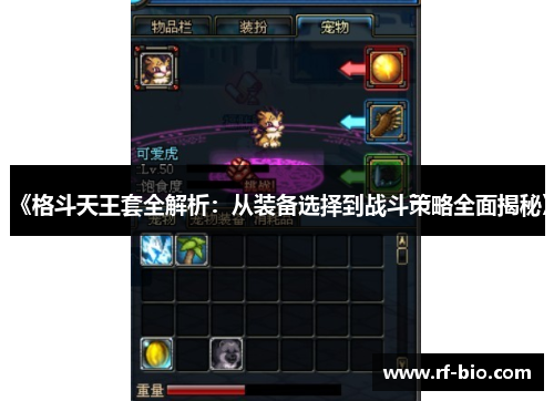 《格斗天王套全解析：从装备选择到战斗策略全面揭秘》