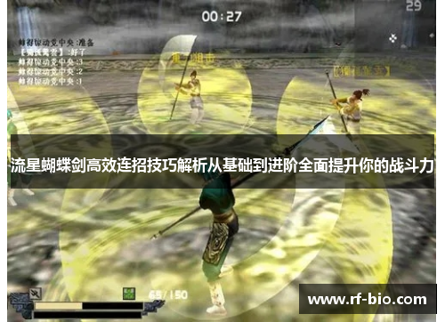 流星蝴蝶剑高效连招技巧解析从基础到进阶全面提升你的战斗力