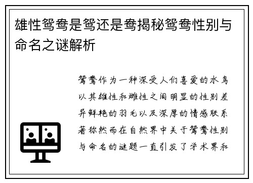 雄性鸳鸯是鸳还是鸯揭秘鸳鸯性别与命名之谜解析