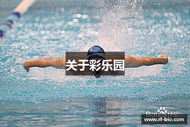 关于彩乐园